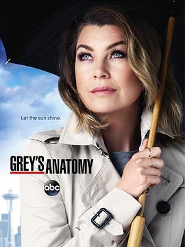 实习医生格蕾 第十二季 Grey's Anatomy Season 12