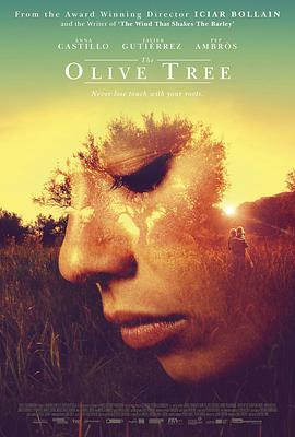 The Olive Tree El olivo